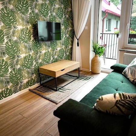 Apartamenty Willove Wzgorze Душники-Здруй Екстер'єр фото