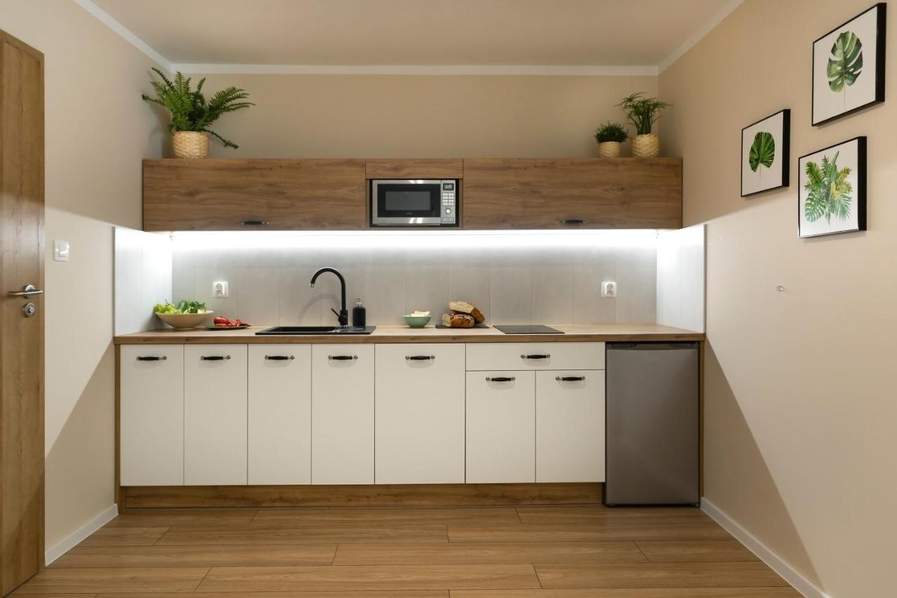 Apartamenty Willove Wzgorze Душники-Здруй Екстер'єр фото