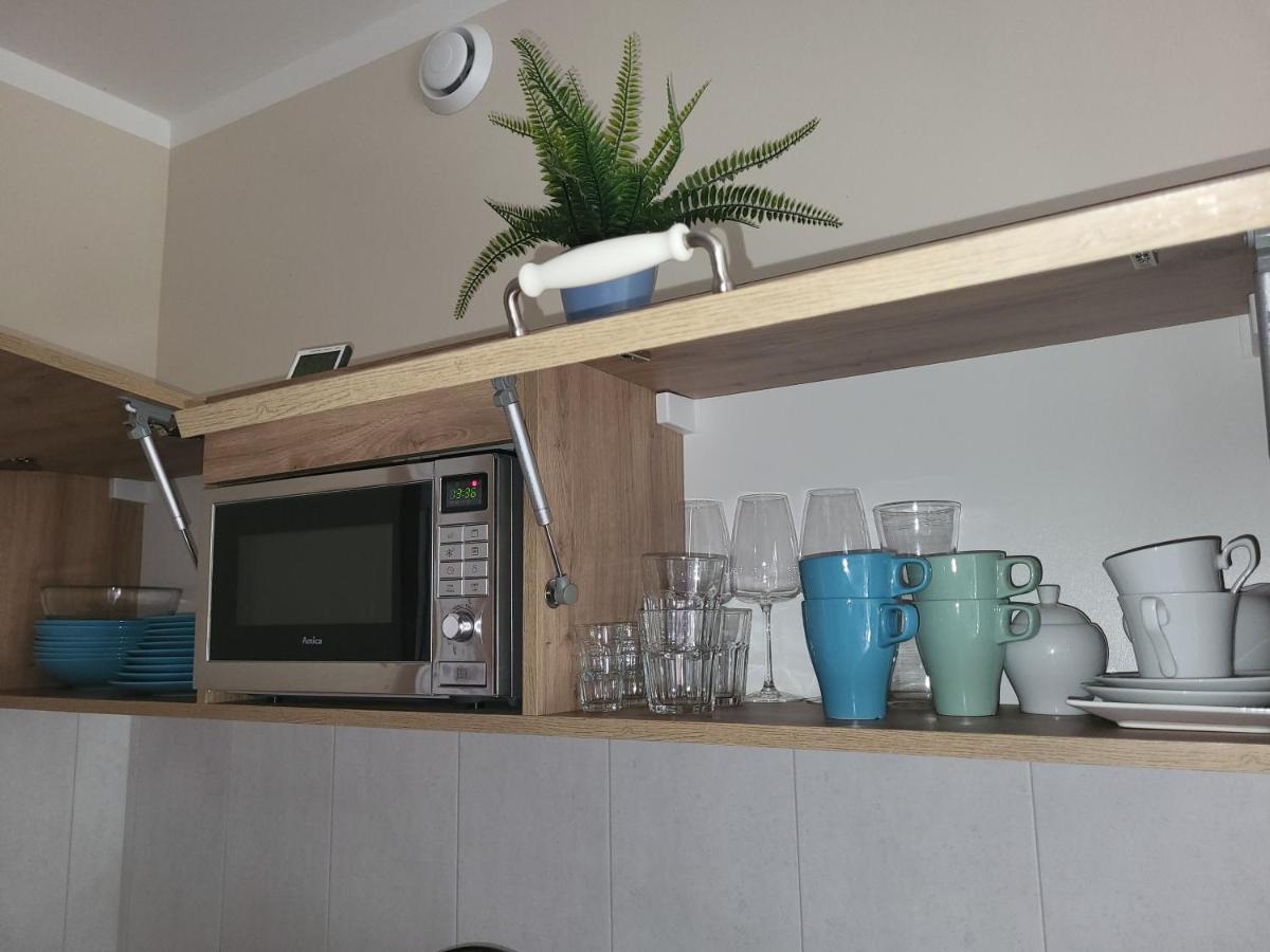 Apartamenty Willove Wzgorze Душники-Здруй Екстер'єр фото