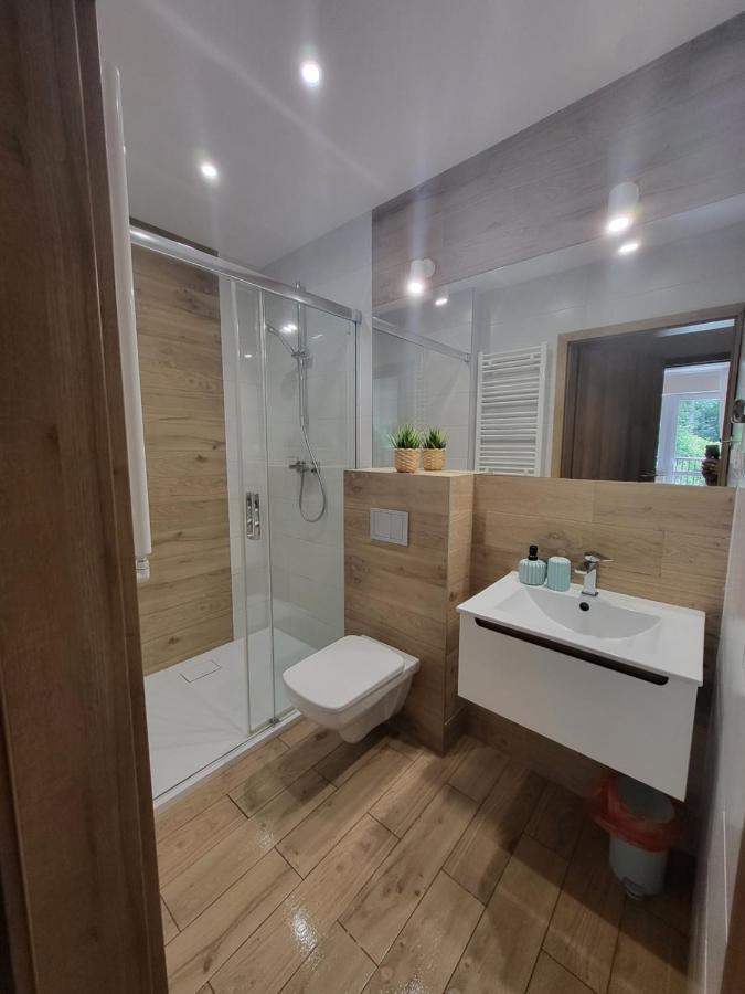 Apartamenty Willove Wzgorze Душники-Здруй Екстер'єр фото