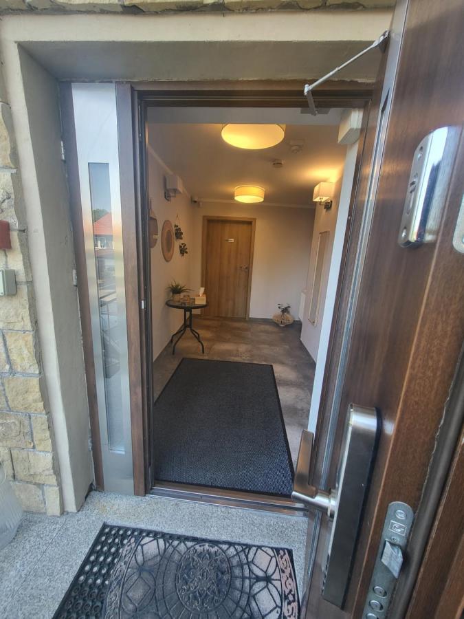 Apartamenty Willove Wzgorze Душники-Здруй Екстер'єр фото